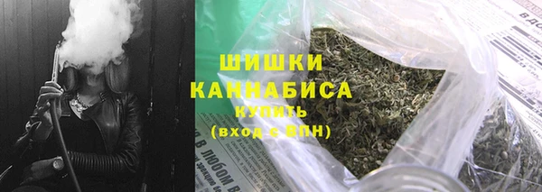 ГАЛЛЮЦИНОГЕННЫЕ ГРИБЫ Арсеньев