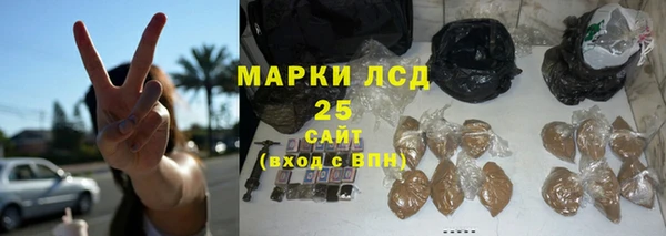 ГАЛЛЮЦИНОГЕННЫЕ ГРИБЫ Арсеньев