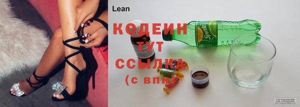 ГАЛЛЮЦИНОГЕННЫЕ ГРИБЫ Арсеньев