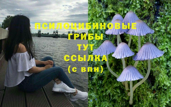 Альфа ПВП Армянск