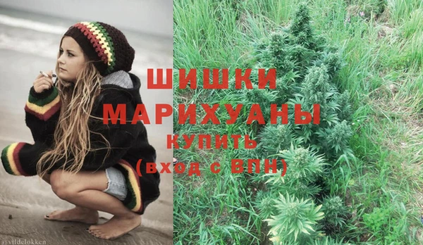 крисы Аркадак