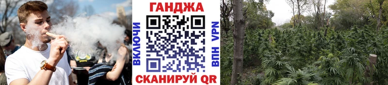 Каннабис планчик Цивильск